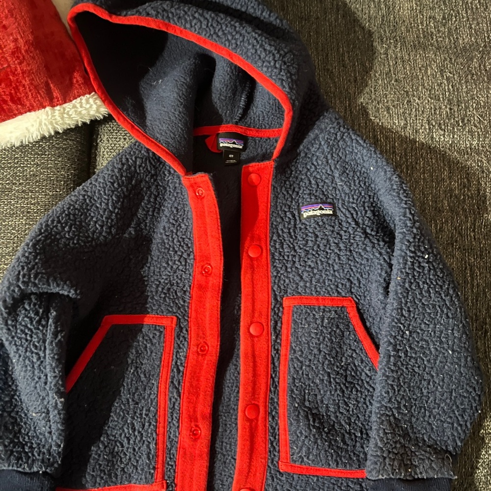Patagonia Navy and Red Fleece Hoodie